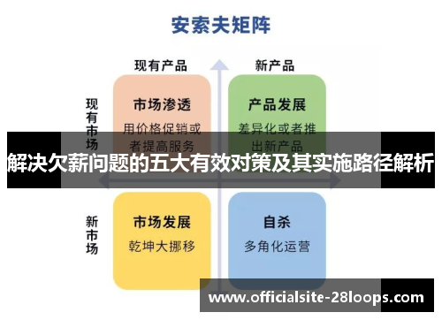 解决欠薪问题的五大有效对策及其实施路径解析 解决欠薪问题的五大有效对策及其实施路径解析