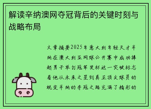 解读辛纳澳网夺冠背后的关键时刻与战略布局 解读辛纳澳网夺冠背后的关键时刻与战略布局