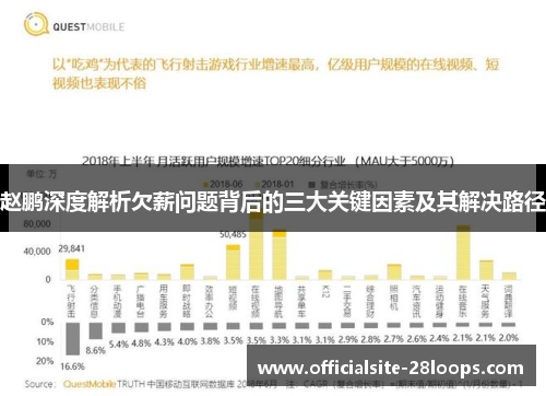 赵鹏深度解析欠薪问题背后的三大关键因素及其解决路径 赵鹏深度解析欠薪问题背后的三大关键因素及其解决路径