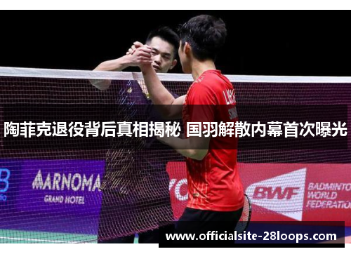 陶菲克退役背后真相揭秘 国羽解散内幕首次曝光