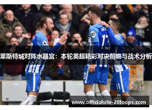 莱斯特城对阵水晶宫：本轮英超精彩对决前瞻与战术分析