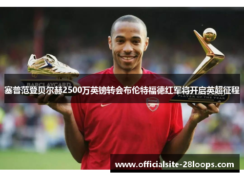 塞普范登贝尔赫2500万英镑转会布伦特福德红军将开启英超征程 塞普范登贝尔赫2500万英镑转会布伦特福德红军将开启英超征程