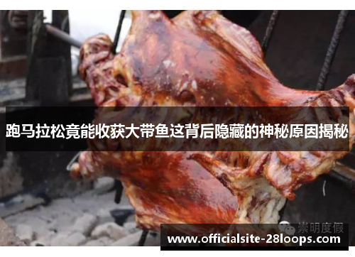 跑马拉松竟能收获大带鱼这背后隐藏的神秘原因揭秘